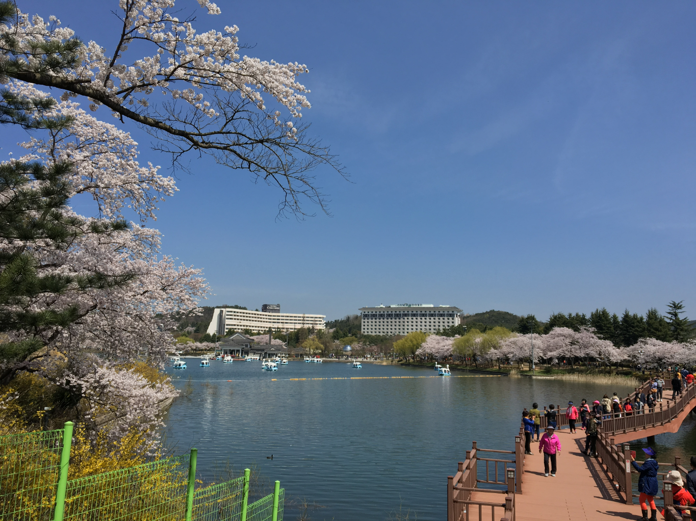 보문관광단지-소노벨