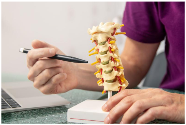 척추관협착증-설명