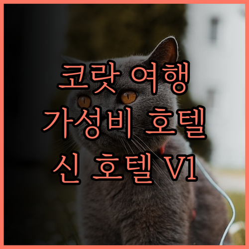 SHIN Hotel V-ONE Kor