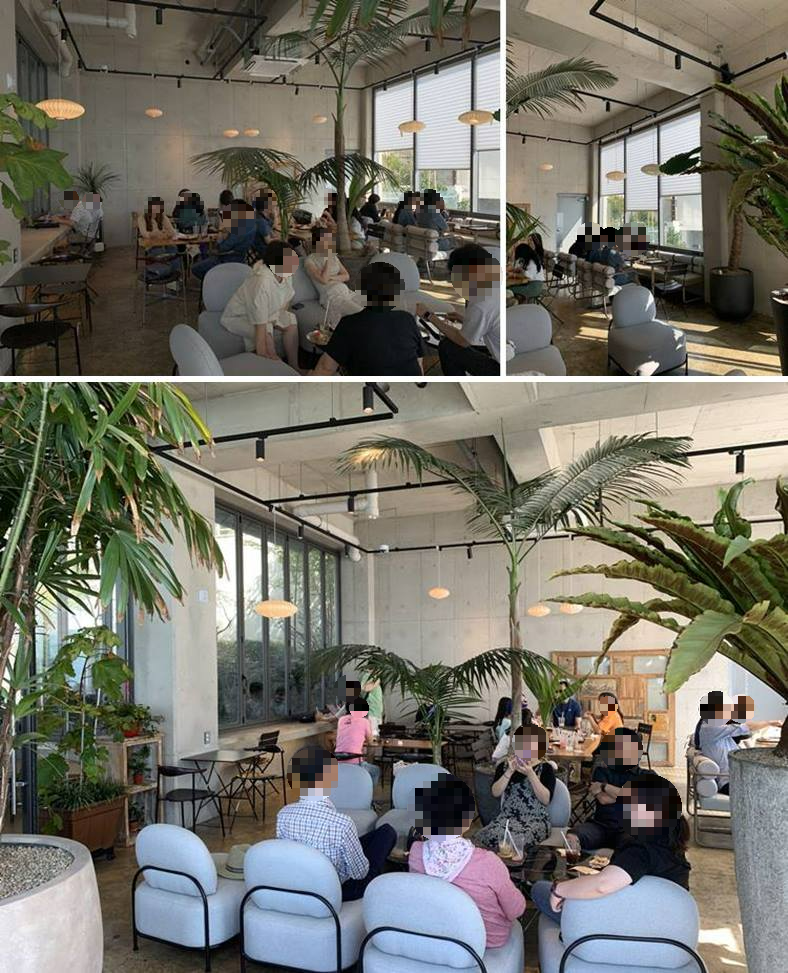 푹신한 의자와 큰 식물 조경