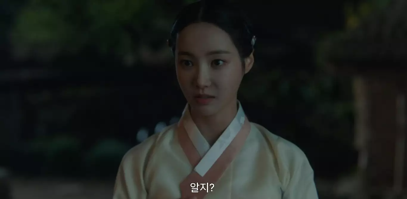 옥씨부인전 차미령 모모랜드 연우 성도겸 아내역 외지부 역할 우리,집 이세나