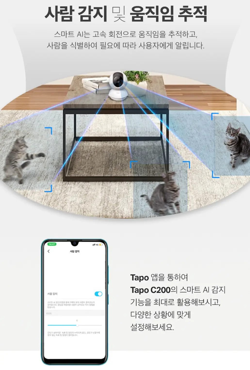 사진5