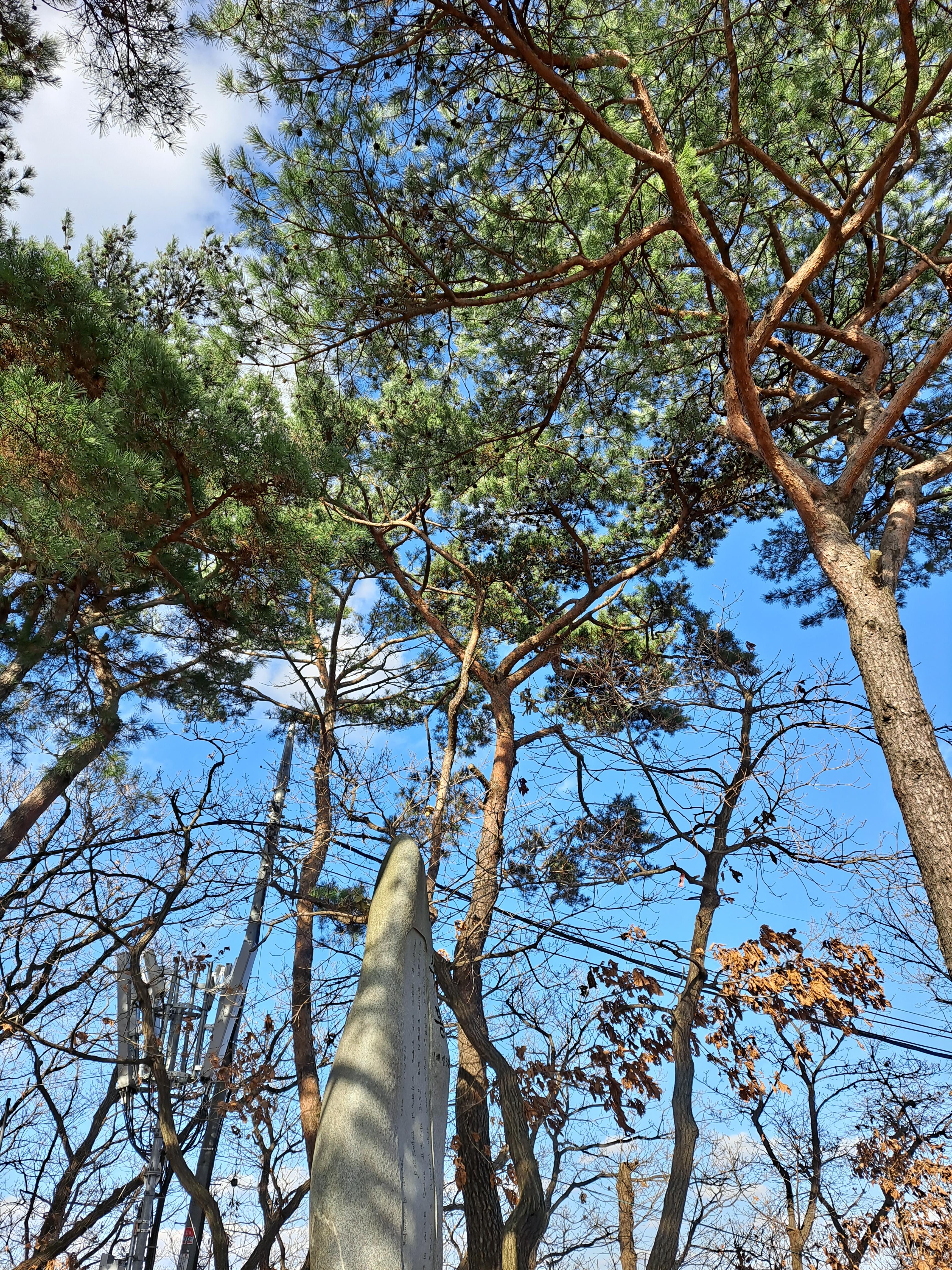 이수봉