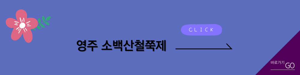영주 소백산철쭉제 바로가기