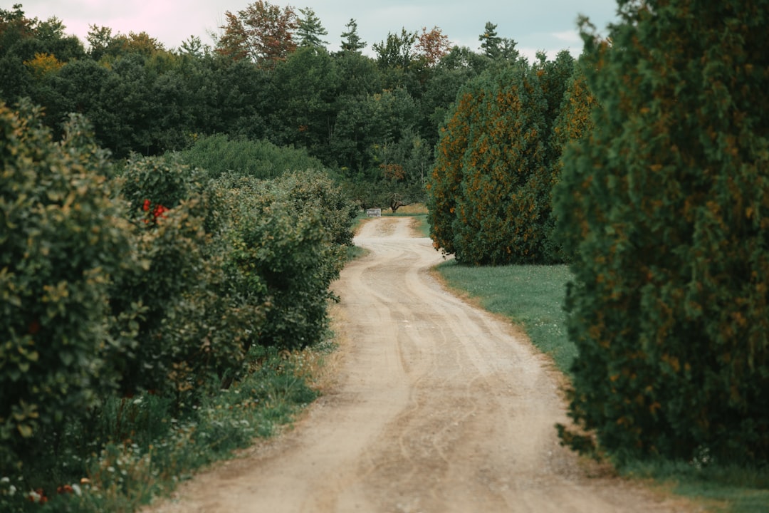 Shortcut