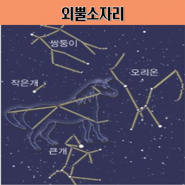 신비한 외뿔소자리 공개