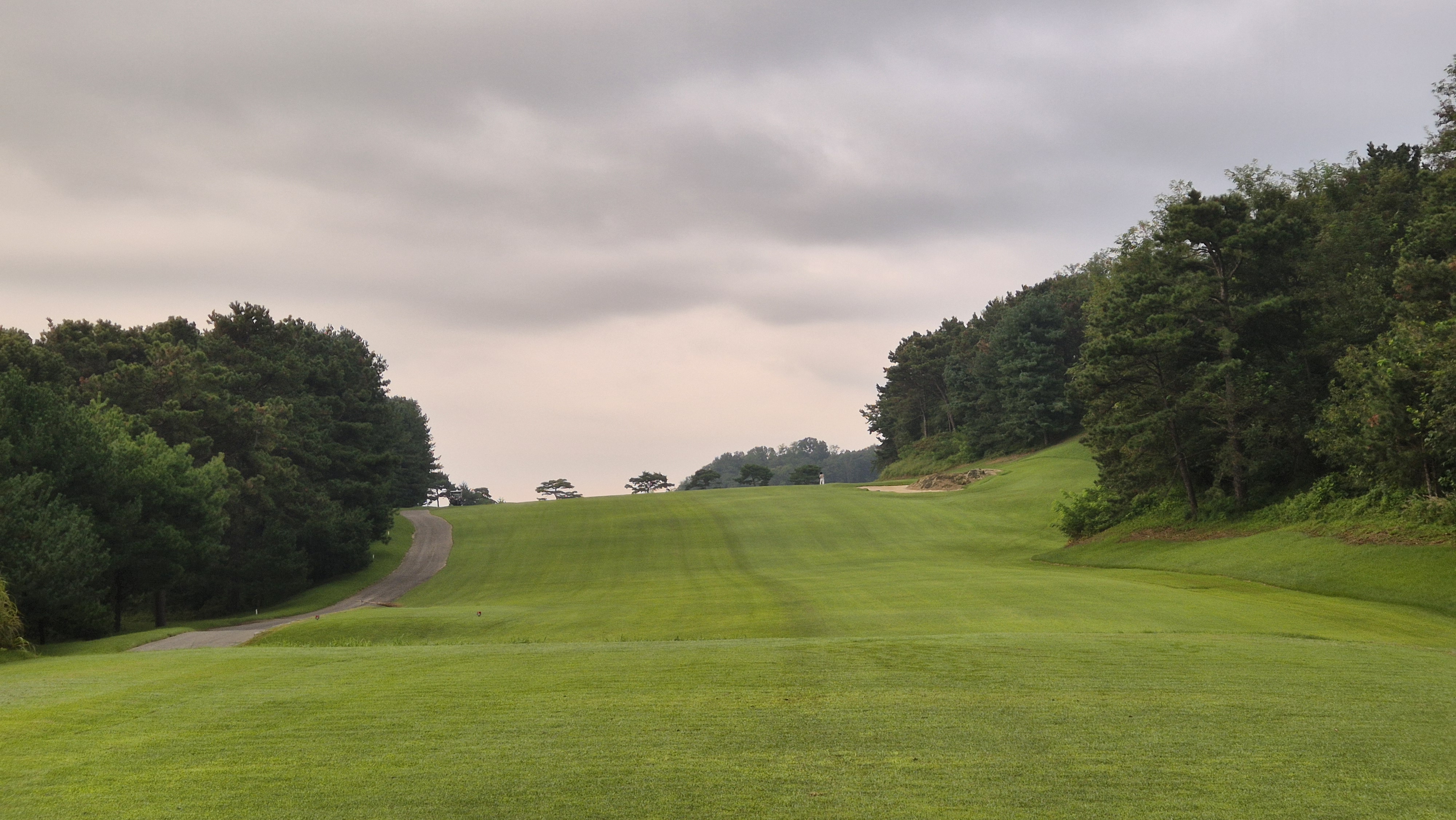 도고cc 코스 사진 및 공략 정보