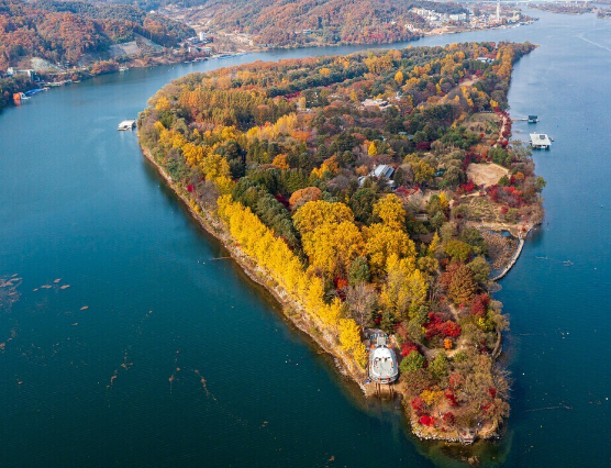 남이섬 관련 사진