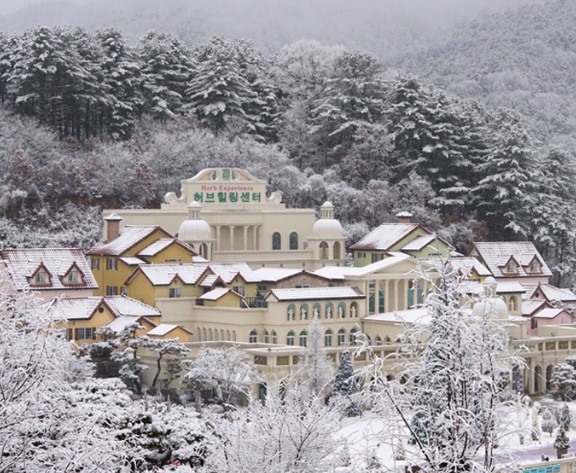 포천 허브 아일랜드