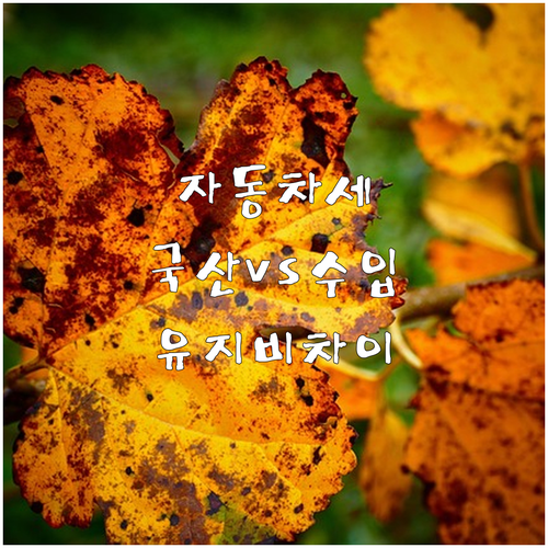 자동차세 A to Z: 국산차 vs ..