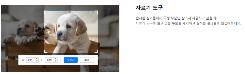 알캡처
