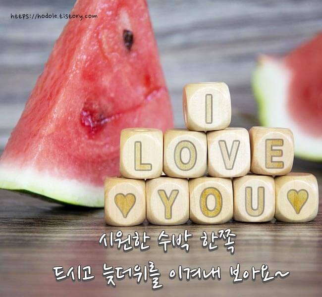 말복-카톡-이미지