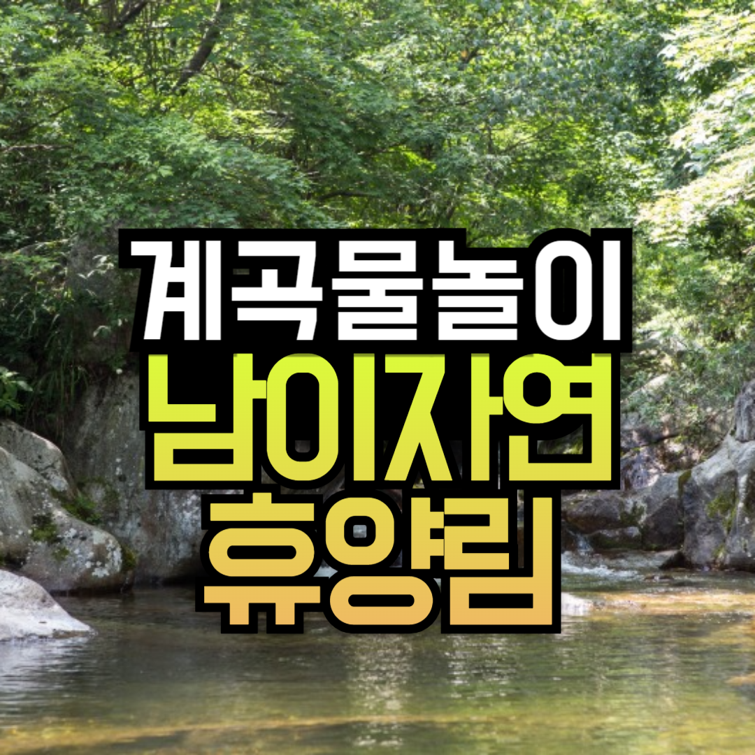 대전 근교 계곡 평상 물놀이 남이자연휴양림 금산산림문화타운