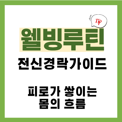 0편. 전신 경락 관리 가이드|직장인 피로가 쌓이는 몸의 흐름을 한 번에 정리