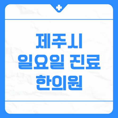 제주시 일요일 진료 한의원