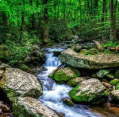 미국 남부 북부 여행지 탐방(역사, 자연, 도시)