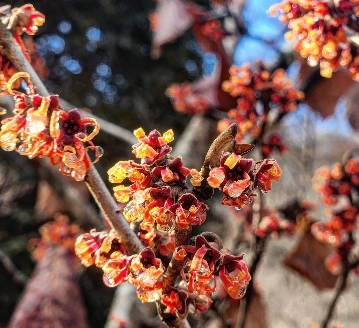 당일치기/가을/힐링/여행 /제이드/가든