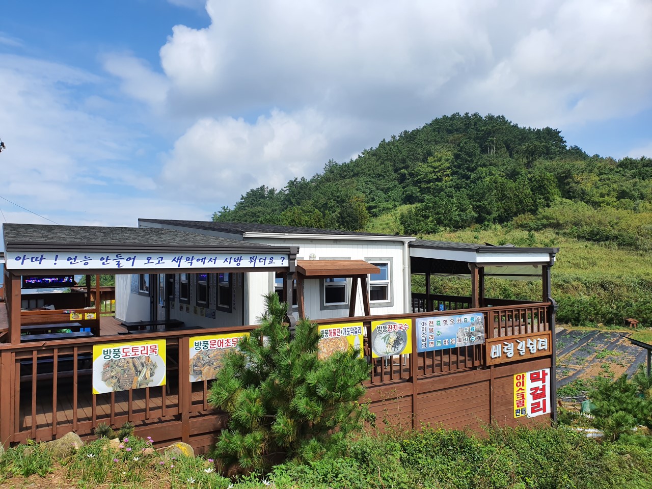 금오도 맛집