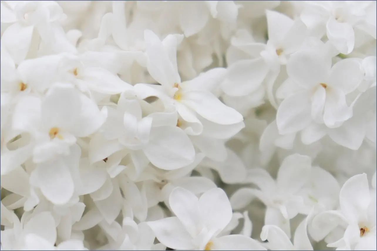 허영만의 백반기행 육개장