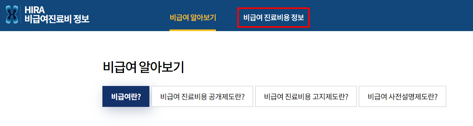HIRA 비급여 진료비 정보 홈페이지2