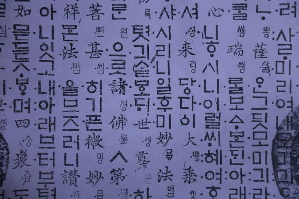 한국어교원 자격증