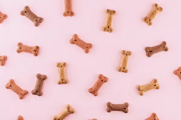 Hands preparing natural pet treats at home