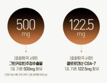 호화탕국 서양 후기 가격 부작용