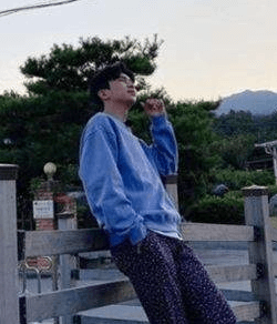 임영웅 갤러리 팬카페 인스타 콘서트
