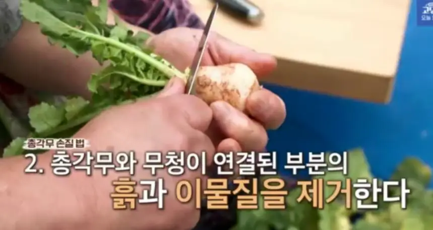 총각무 다듬고 절이기