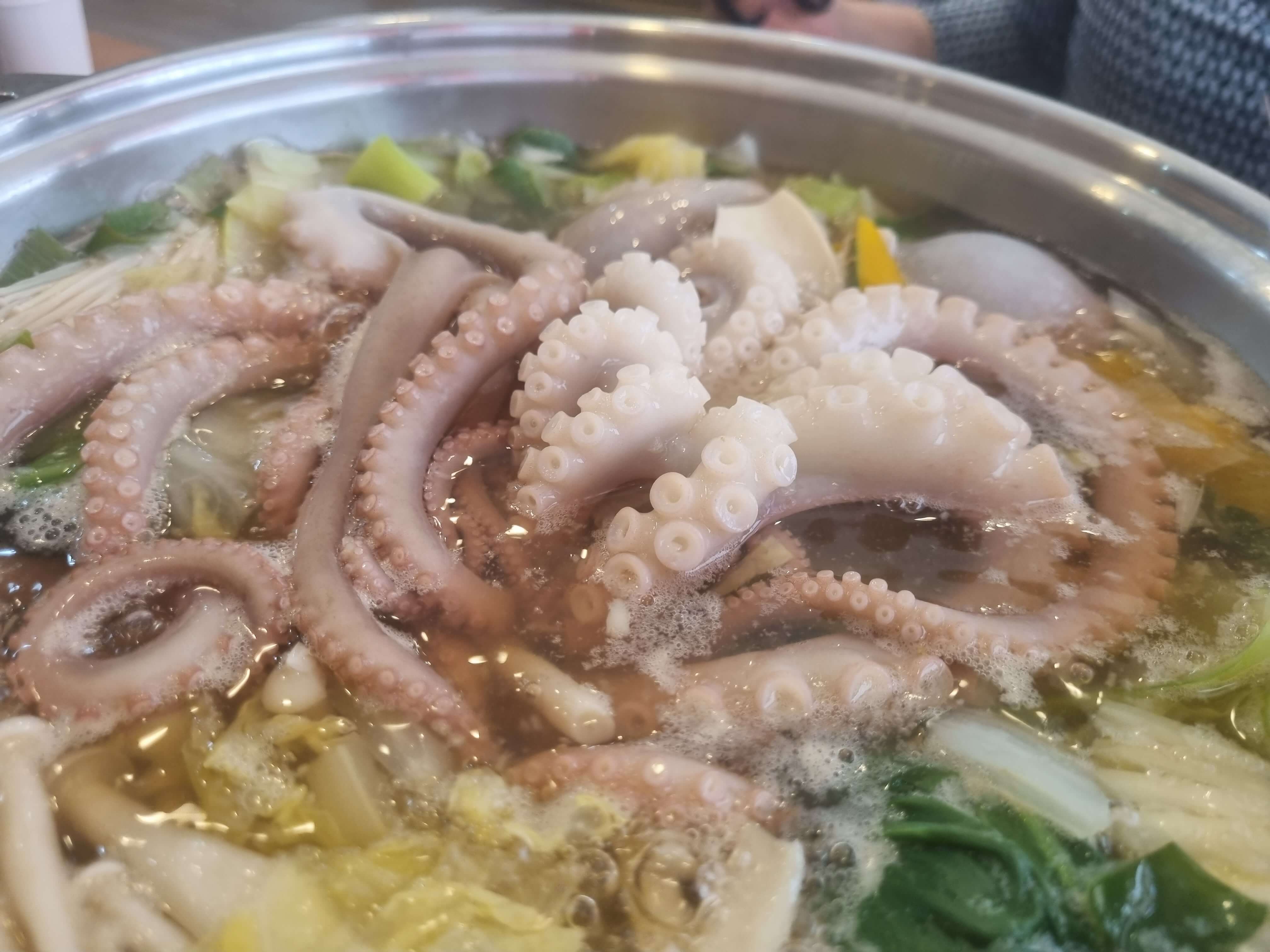 낙지탕