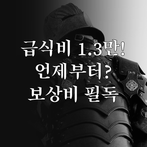 예비군 급식비 13000원 인상 적용..
