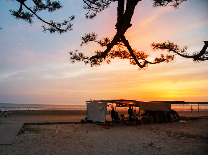 충청남도 태안군 몽산포 자동차야영장