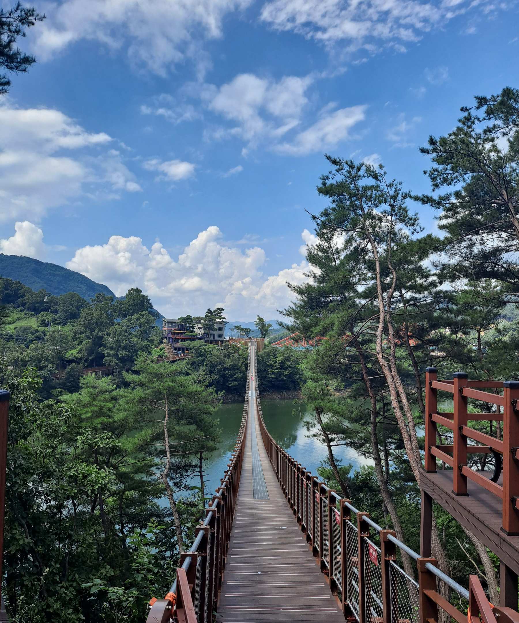 출렁다리 건너간 후