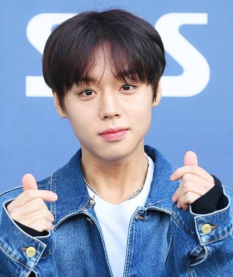 배우-박지훈