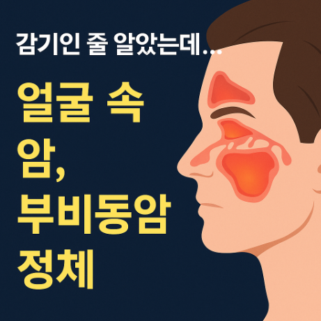 부비동암 증상