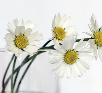 겨울철 타이어 적정 공기압