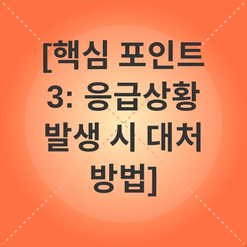 고양이 겨울철 화상 예방_3