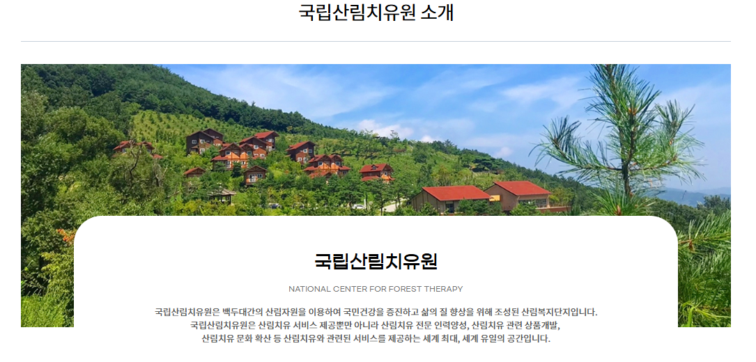 국립산림치유원 예약