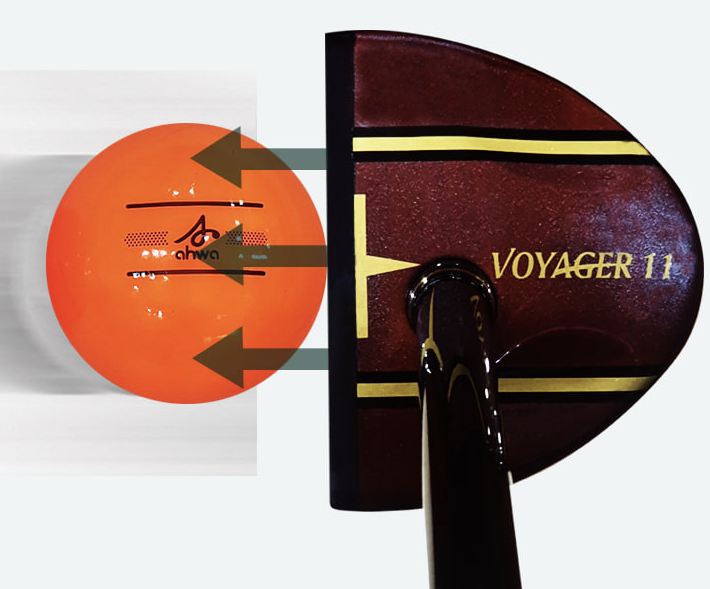 파크골프채 입문자용 추천 TOP5