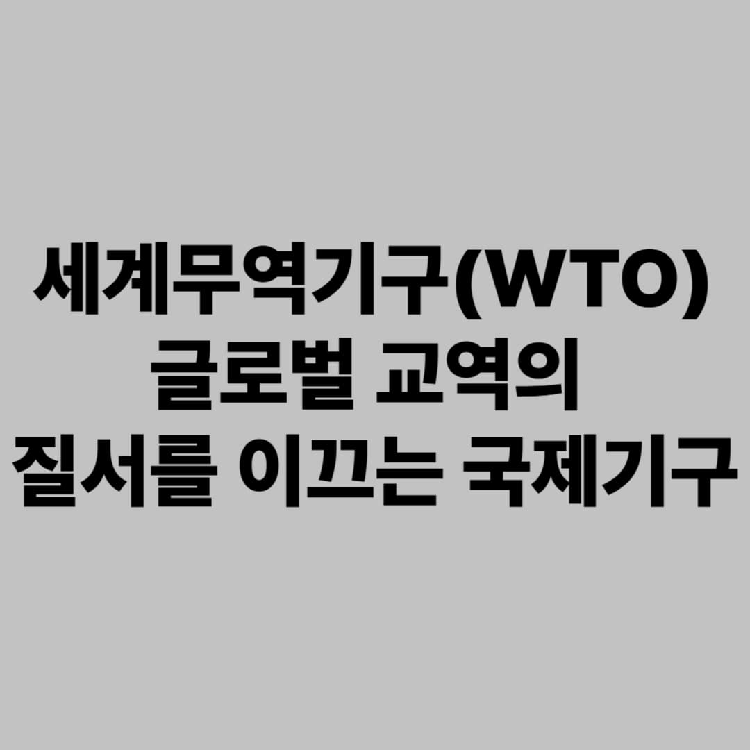세계무역기구(WTO): 글로벌 교역의 질서를 이끄는 국제기구