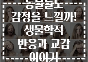 동물들도 감정을 느낄까! 생물학적 반응과 교감 이야기 동물들도 감정을 느낄까! 생물학적 반응과 교감 이야기