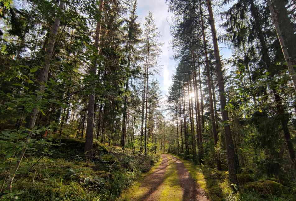 산림 복지 관련 사진