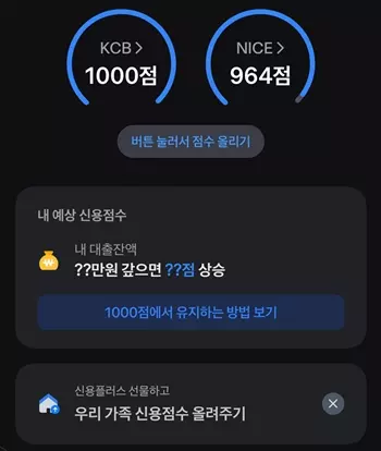 신용점수 조회결과