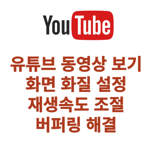 유튜브 동영상 보기