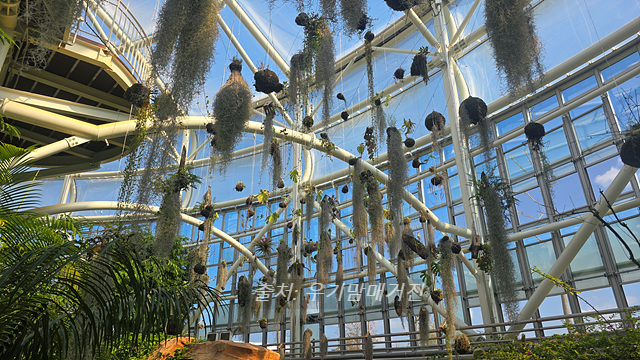 24년 순천만 국가정원 식물원 동문 순천여행