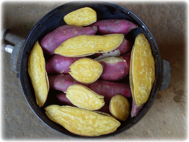 에어프라이어 고구마 요리