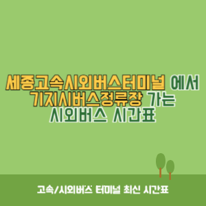 세종고속시외버스터미널에서 기지시버스정류장 가는 시외버스 시간표 최신정보