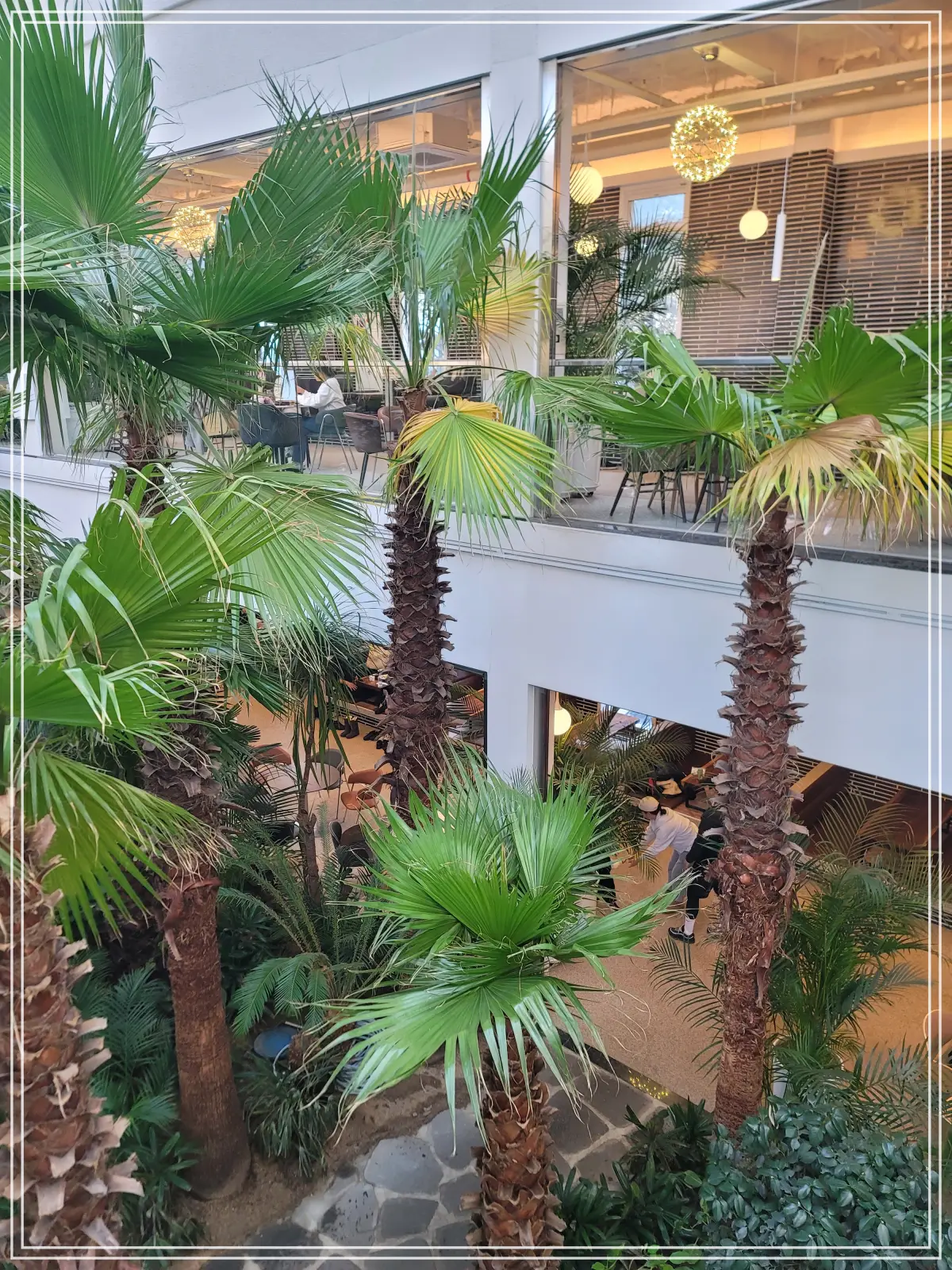 팜브릿지-3층-식물원-야자수길