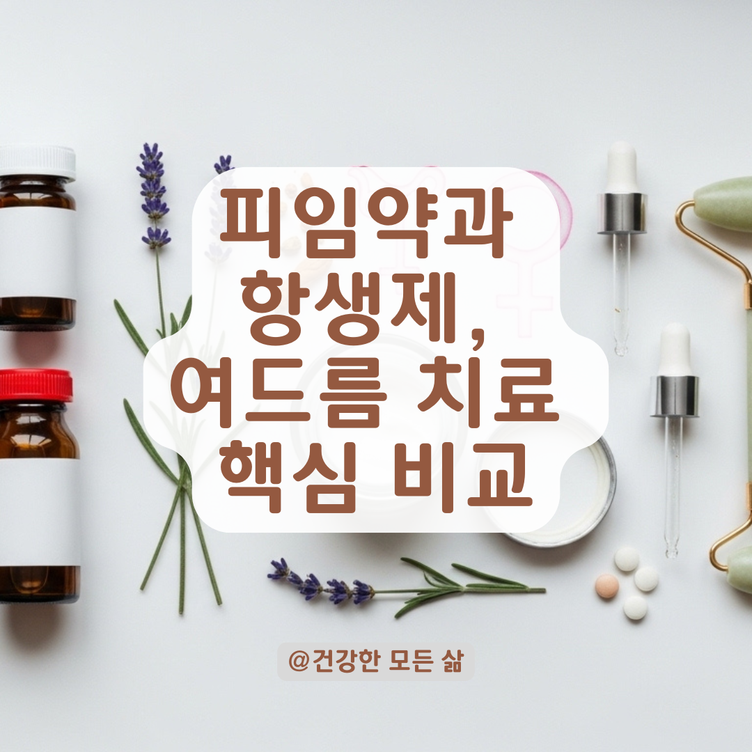 다낭성 난소증후군 여드름 치료, 피임약과 항생제 복용 차이 정리.