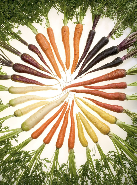 경제적 수입의 다변화